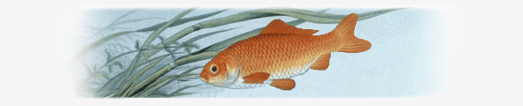 Каспийская свежемороженная рыба частиковых пород: вылов, хранение, переработка, продажа